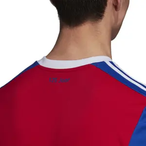 Heimtrikot FC Bâle 2018/19 image-6