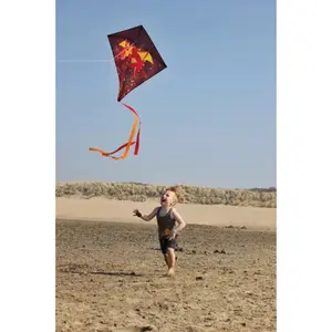 Drachen Dragon Fly® Dragon image-3