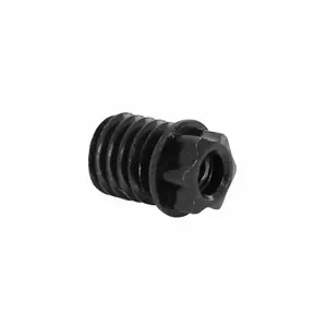 Νάιλον ακτίνας DT Swiss Torx M5 image-0