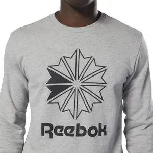 Sudadera Reebok Classics French Terry Big Iconic image-5