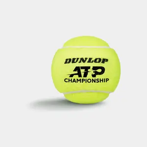 Tennis ball Dunlop ATP Championship (x3) image-2