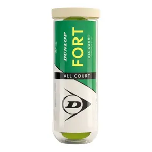Tennis ball Dunlop Fort All Court (x4)