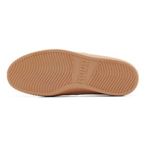 Trainers Duuo Col Cover image-3