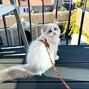 Cat harness Duvoplus Desing Indien image-2