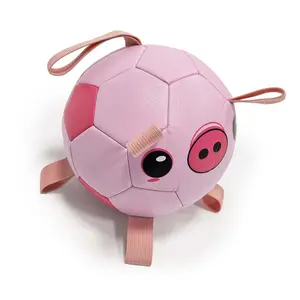 Παιχνίδι για σκύλους Duvoplus Football Piggy image-0