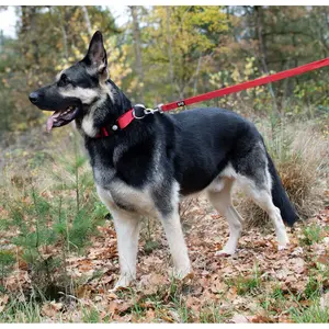 Leave Duvoplus Classic image-2