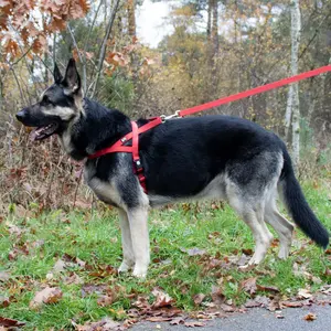 Leave Duvoplus Classic image-3