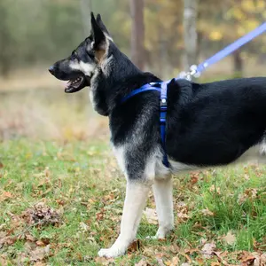 Leave Duvoplus Fashion image-2