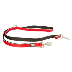 Hundeleine aus Nylon Duvoplus Explor West Duo image-0