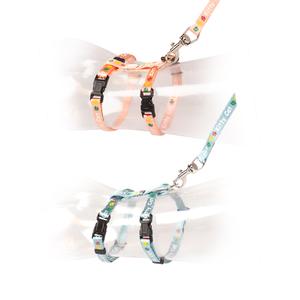 11213-leinen-und-geschirre-fur-katzen-duvoplus-kitty-cat-orange-blau-25-cm-x-8-mm-x-125-cm