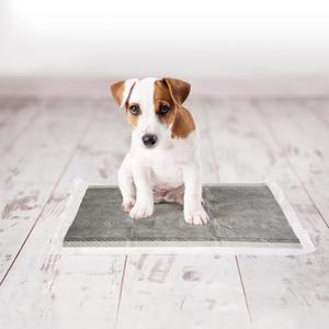 Dog mat Duvoplus Fresh Grass (x30) image-3
