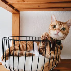 Hundekorb aus Metall rund Duvoplus image-3