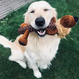 Sportief rugbyspeeltje met staart voor honden Duvoplus image-2