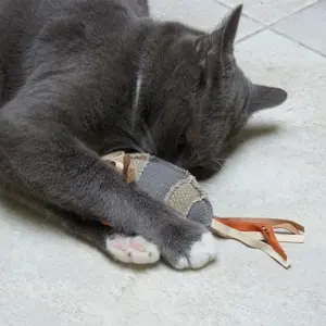 Kattleksaker Duvoplus Canvas rugby image-3