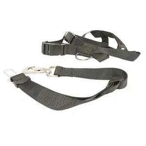 Ράμπα φόρτωσης για αυτοκίνητο Duvoplus Easy Step Max image-0