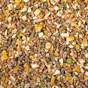 Alimento complementario Duvoplus