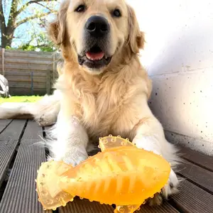 Kattleksaker Duvoplus Wobble `N Play Spring image-1