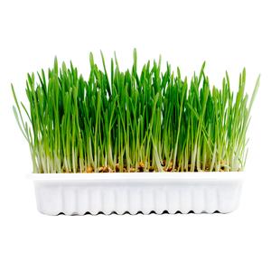 12799-hay-ball-for-rodents-and-rabbits-duvoplus-green-70-g