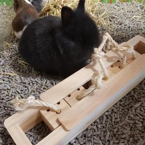 Gnagarskydd i trä Duvoplus image-3