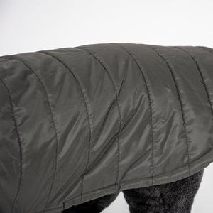 Manteau pour chien matelassé eskimo Duvoplus image-4