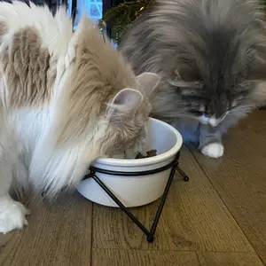 Futternapf für Hund und Katze Duvoplus Stone UP Timber image-5