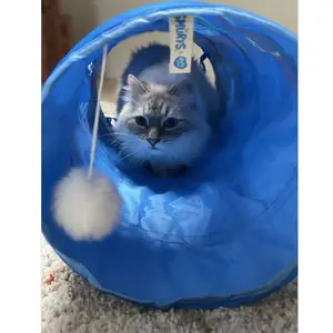 Play tunnel for cats Duvoplus Jetpack schtroumpfs image-3