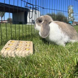 Vassoio inferiore in metallo Duvoplus image-1