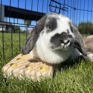 Träleksak för gnagare och kaniner Duvoplus Sniffle `N Snack Puzzle Gus image-2