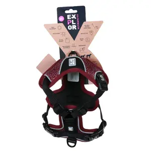 Κλασικό λουρί και σχήμα για σκύλο Duvoplus Ultimate Fit No-pull XL image-1