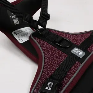 Κλασικό λουρί και σχήμα για σκύλο Duvoplus Ultimate Fit No-pull XL image-2