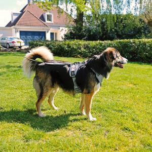 Fashion Hundeleine und -geschirr Duvoplus Ultimate Fit No-pull XL image-5
