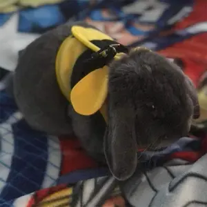 Geschirre für Kaninchen Duvoplus image-2