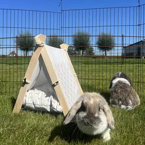 Jaula para roedores y conejos Duvoplus Carrot Tipi image-3