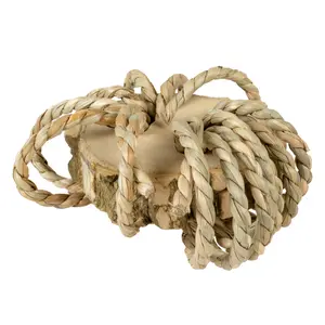 Paquete de jacinto de agua y mazorca de maíz para roedores Duvoplus image-0