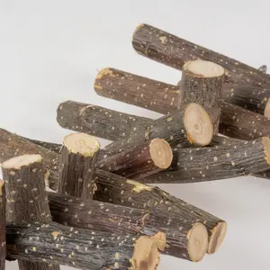 Houten boomstam speelgoed voor konijnen en knaagdieren Duvoplus image-2