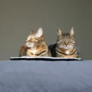 Hundekissen Duvoplus Textura Eco image-5