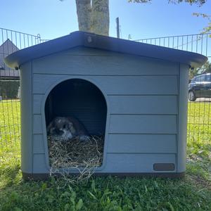 Electric claw grinder Duvoplus image-1