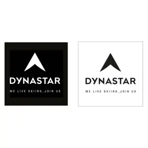 Aufkleber Dynastar L10 corporate