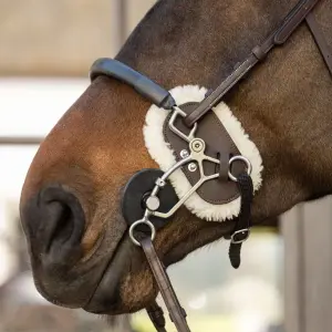 Protection hackamore para caballo Dy'on image-1