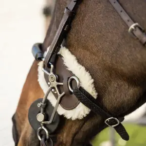 Protection hackamore para caballo Dy'on image-2