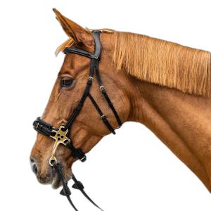 Hackamore til hest Dy'on Collection image-1