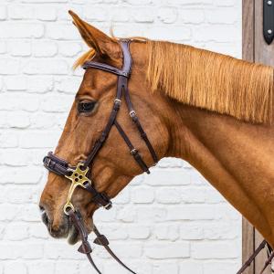 Hackamore for horse Dy'on Collection image-1