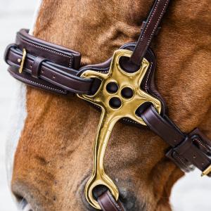 Hackamore for horse Dy'on Collection image-2