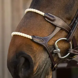 Double Horse Bridle with Rope Dy'on image-3