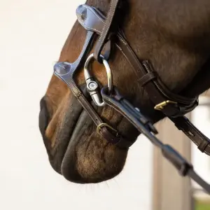 Double Horse Bridle with Rope Dy'on image-4