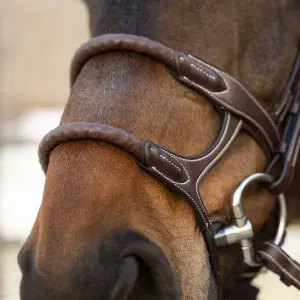Double Horse Bridles with Covered Rope Dy'on image-2