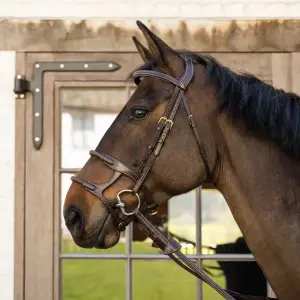 Double Horse Bridles with Covered Rope Dy'on image-3