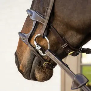 Double Horse Bridles with Covered Rope Dy'on image-4