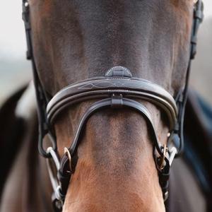 Combinatie paardenneusriem Dy'on Flash image-1