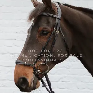 Muserola de cavalo baixa com corrente Dy'on image-1